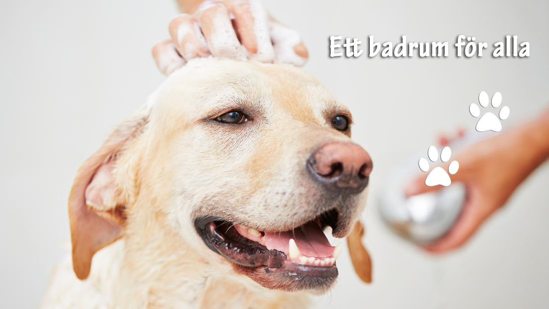 Vinaora Nivo Slider 3.x